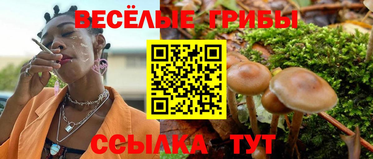 Псилоцибиновые грибы Cubensis Астрахань